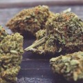 Can you sell thca online?