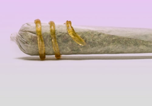How do i know if a thca preroll has been properly rolled?